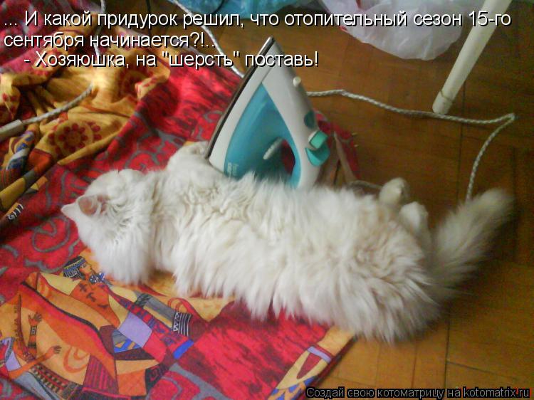 http://filed7-21.my.mail.ru/pic?url=http%3A%2F%2Fkotomatrix.ru%2Fimages%2Flolz%2F2010%2F09%2F14%2F678367.jpg&amp;mw=&amp;mh=&amp;sig=be766a4053e2df71675f9aee36ae8f11