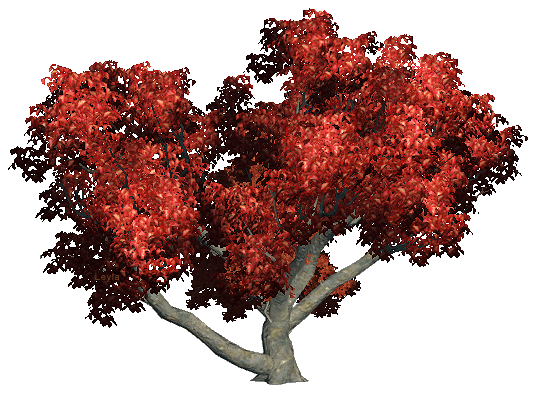 Animation tree. Анимированное дерево. Гифки деревья. Дерево анимация. Анимированные деревья на прозрачном фоне.